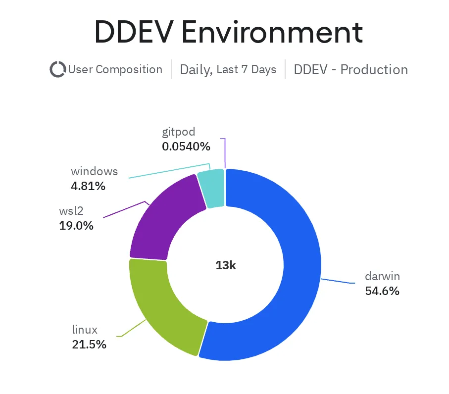 DDEV Environment Usage